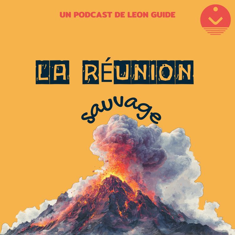 cover art for La formation du Piton des Neiges