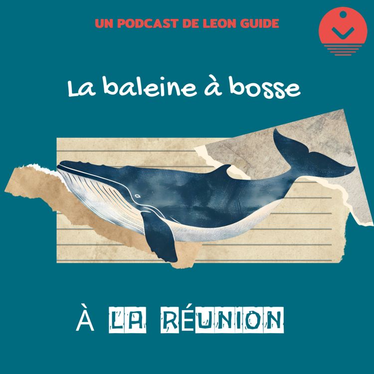 cover art for Le précieux ballet des baleines à bosse