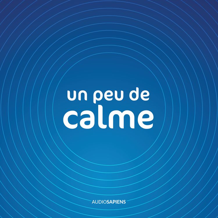 cover art for Scan corporel pour calmer l’esprit