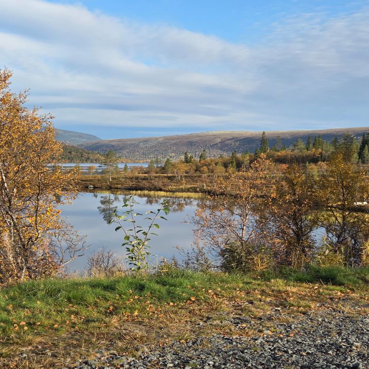 cover art for 1. Första resan
