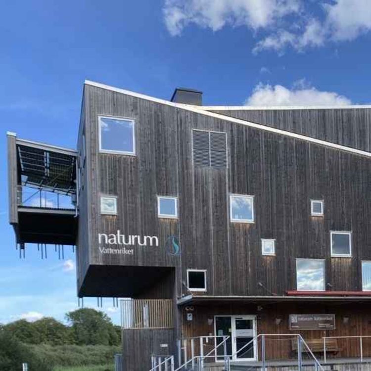 cover art for 5. Naturum och B96 i salig blandning