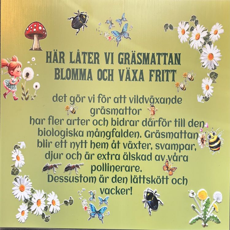 cover art for 19. Vänsterhänt i högerhäntas värld