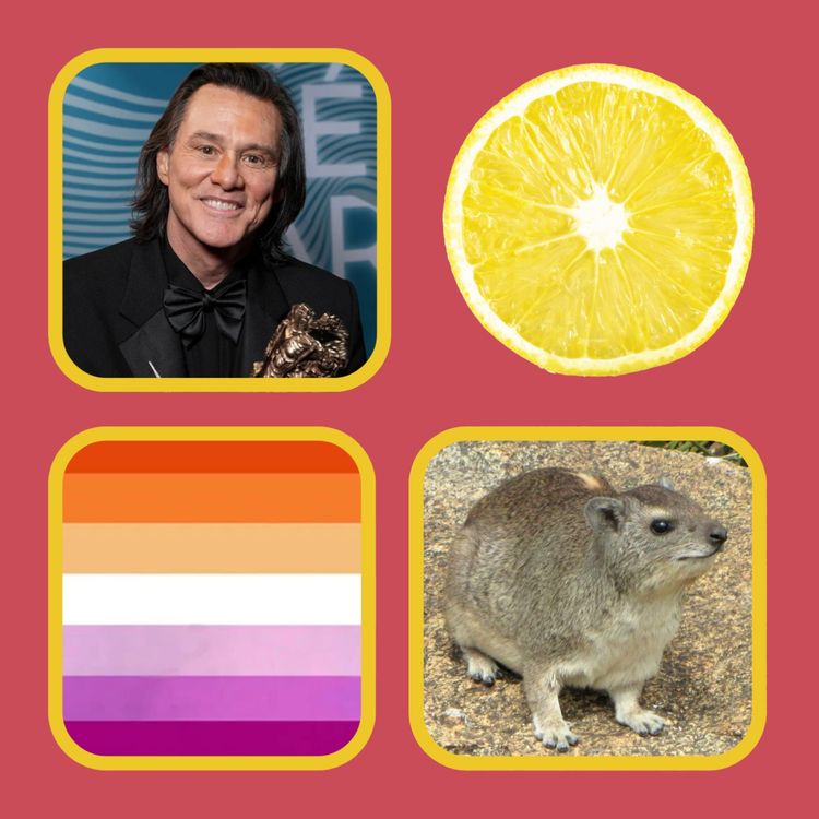 cover art for Can A Man Not Get Hoicked?