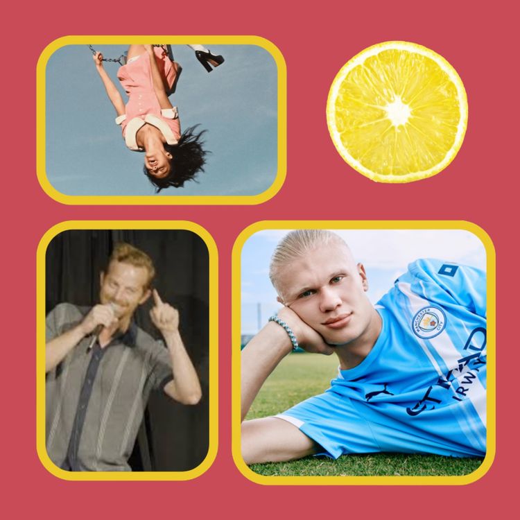 cover art for Sorry to All the Perfect Brothers and Sisters