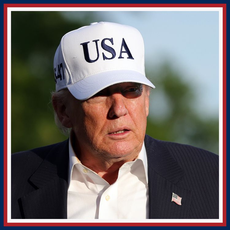 cover art for No dissent: Donald Trump's revenge tour
