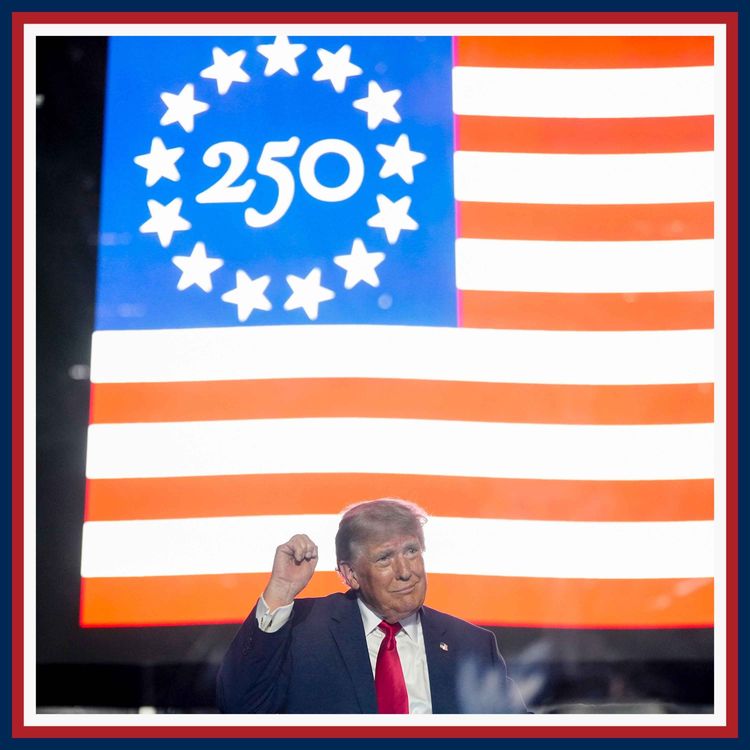 cover art for Birthright citizenship reaction: hysterical, borderline insane