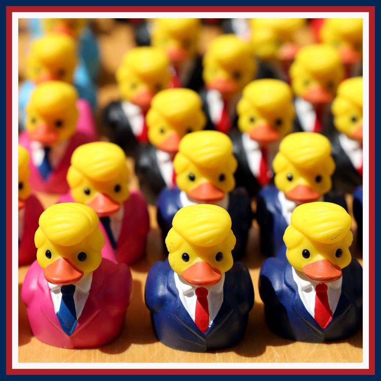cover art for Trumpapalooza: the risky Republican midterm strategy
