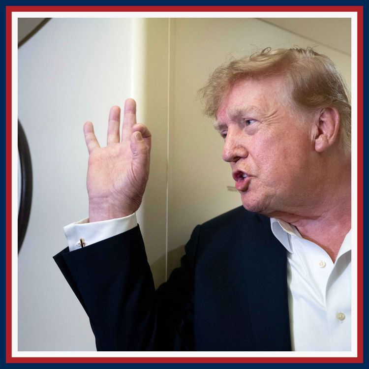 cover art for Trump's three gifts to the Democrats