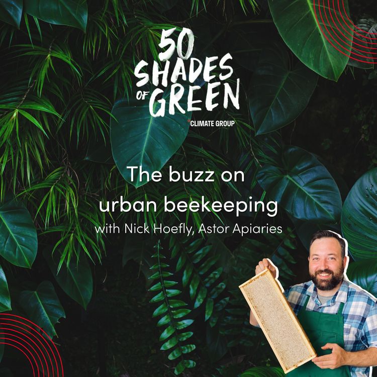 cover art for The buzz on urban beekeeping - Nick Hoefly, Astor Apiaries