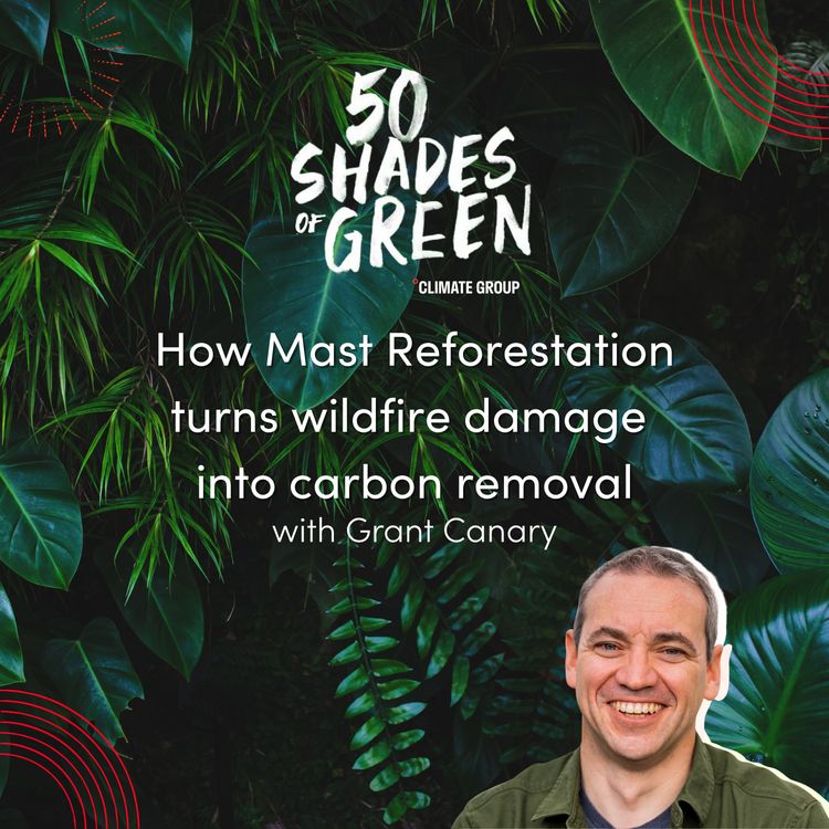 cover art for How Mast Reforestation turns wildfire damage into carbon removal