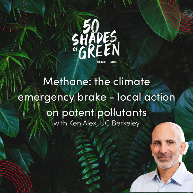 cover art for Methane: the climate emergency brake - local action on potent pollutants