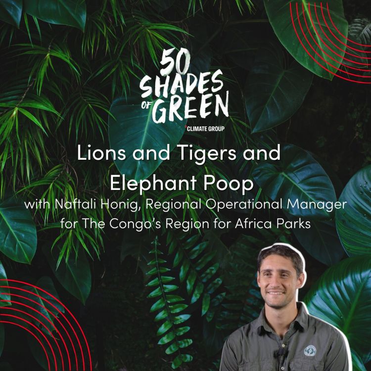 cover art for Lions, Tigers and Elephant Poop.