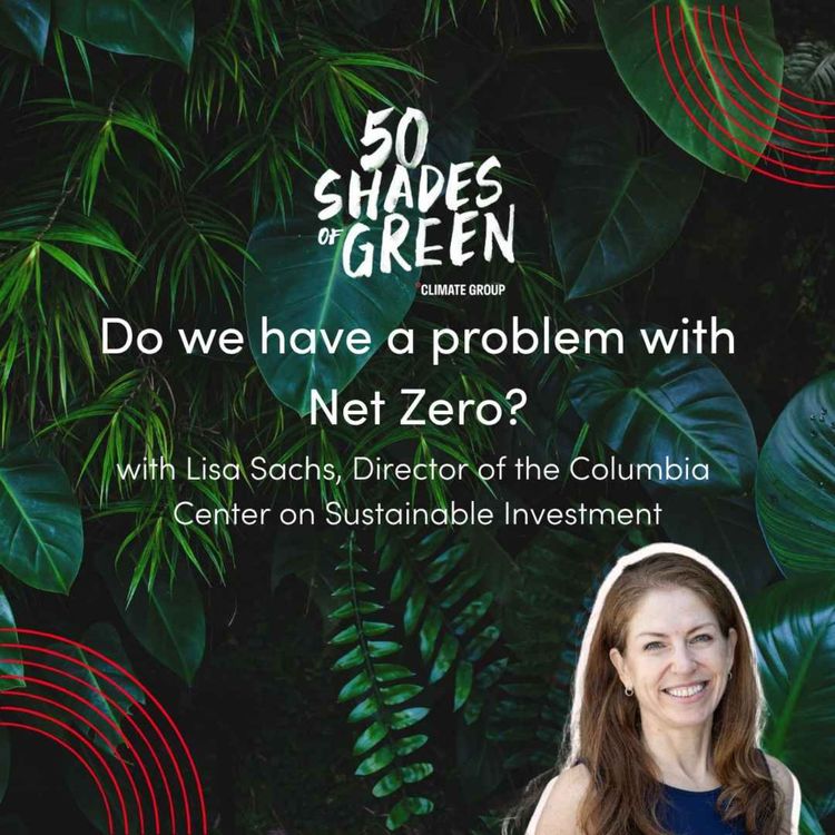 cover art for Do we have a problem with Net-Zero?