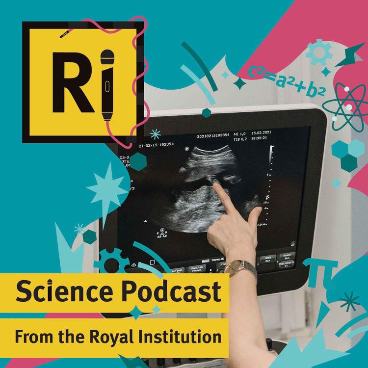 cover art for How does epigenetics impact the placenta? - with Jennifer Frost