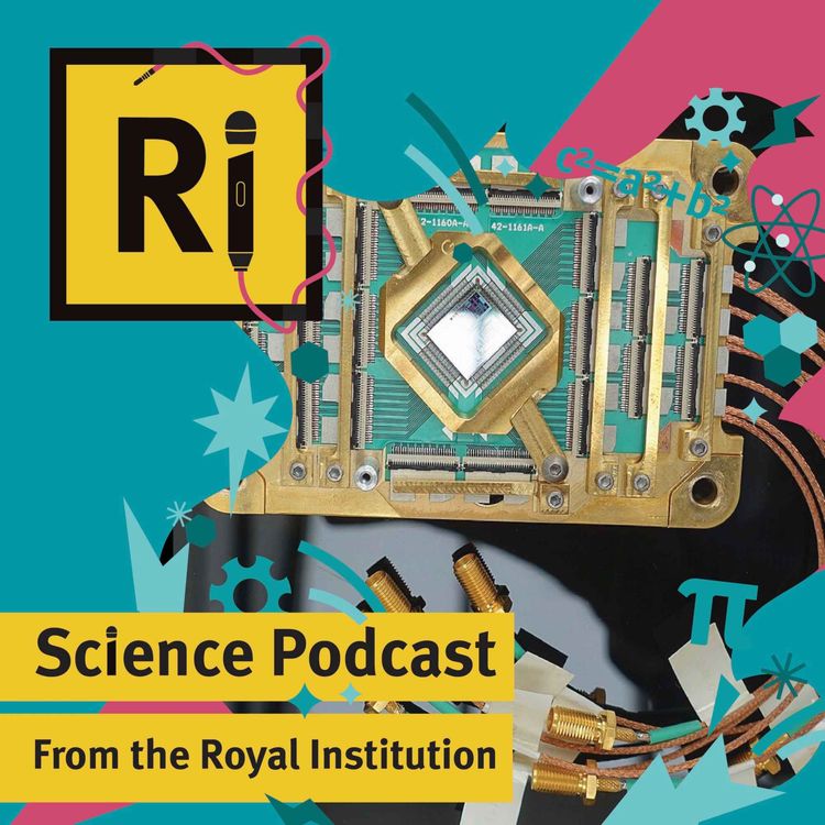 cover art for Quantum field theory, AI, and the future of theoretical physics - with Ross Jenkinson