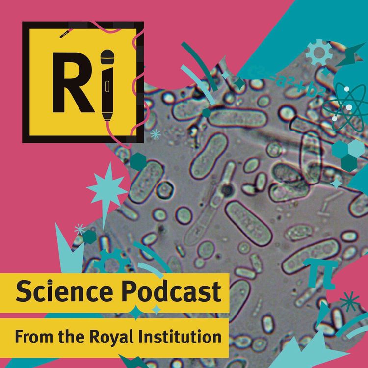 cover art for From the PhD Lab: How do biofilms help keep bacteria alive? - with Josh Horton