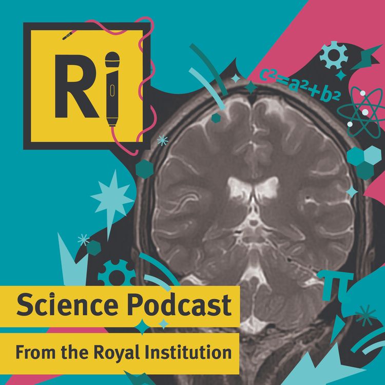 cover art for The brain on exercise - with Dr Flaminia Ronca