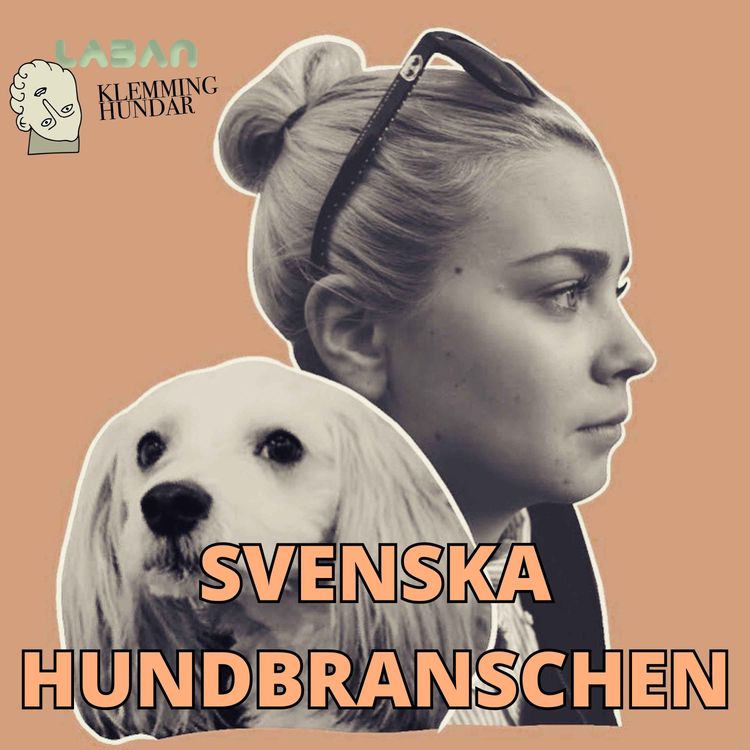 cover art for American Bully & Addisons sjukdom med Teambullygirls
