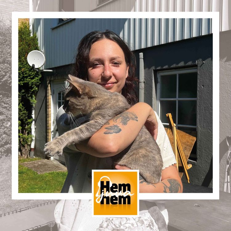 cover art for Petra och bajsinfernot