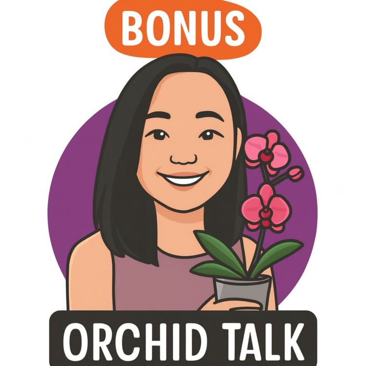 cover art for Bonus Episode: Cattleya Bow Bells - The Bells That Wouldn't be Silenced