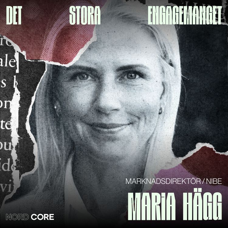 cover art for Det Stora Engagemanget