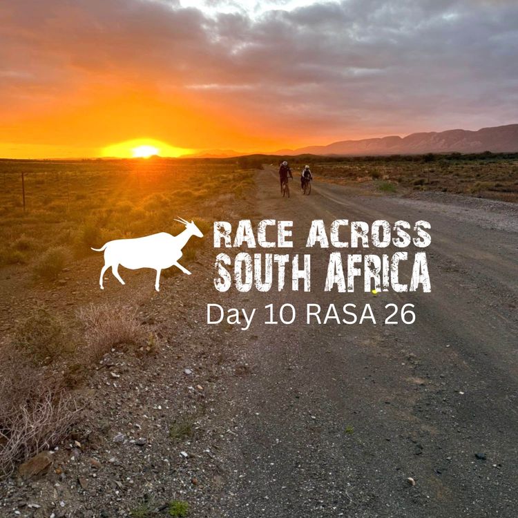 cover art for Season 1, episode 10: day 10 RASA 26