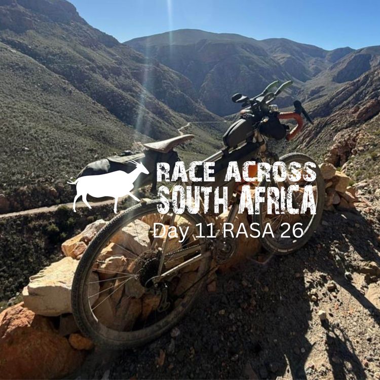 cover art for Season 1, episode 11: day 11 RASA 26