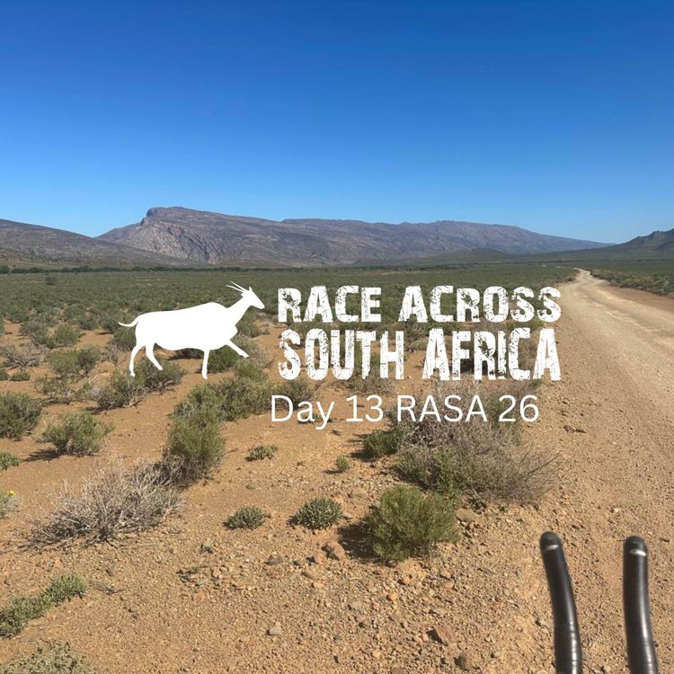 cover art for Season 1, episode 13: day 13 RASA 26
