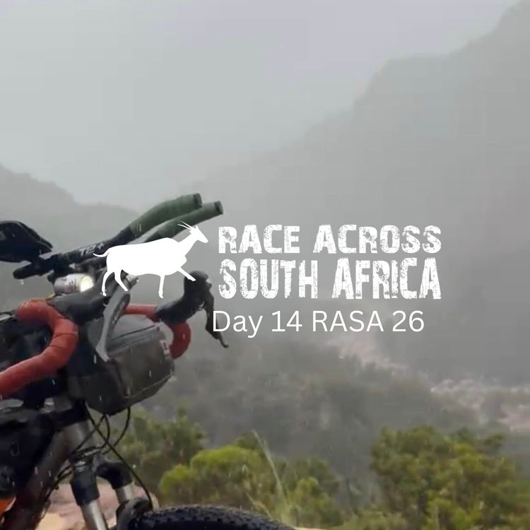 cover art for Season 1, episode 14: day 14 RASA 26