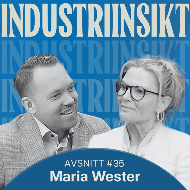 cover art for Modernt IT-ledarskap: ekonomimodell, fokus & kultur bakom en skalbar och datadriven transformation | Maria Wester  