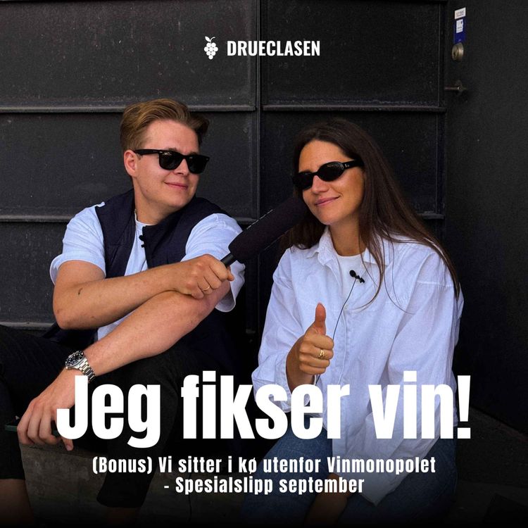 cover art for (Bonus) Vi sitter i kø utenfor Vinmonopolet - spesialslipp august