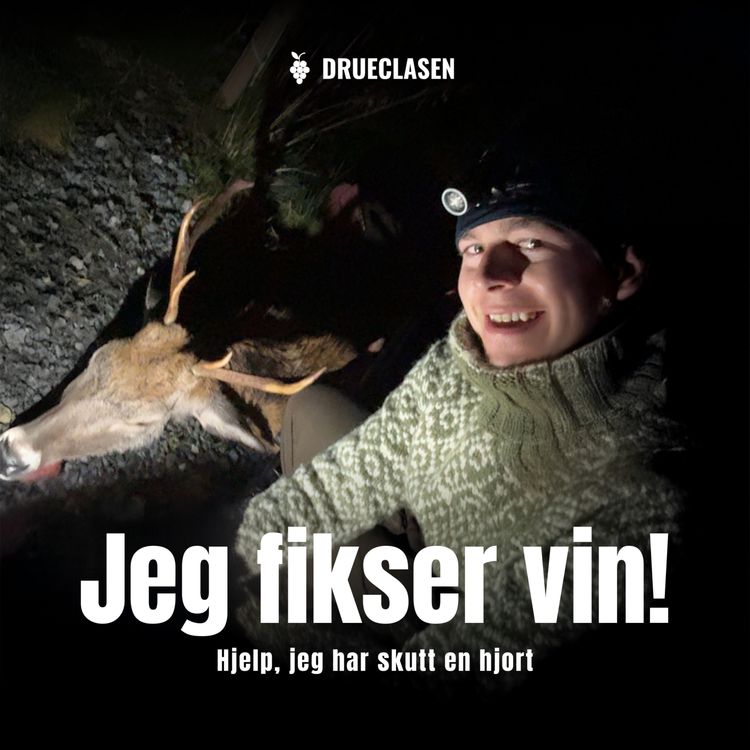 cover art for Hjelp, jeg har skutt en hjort!
