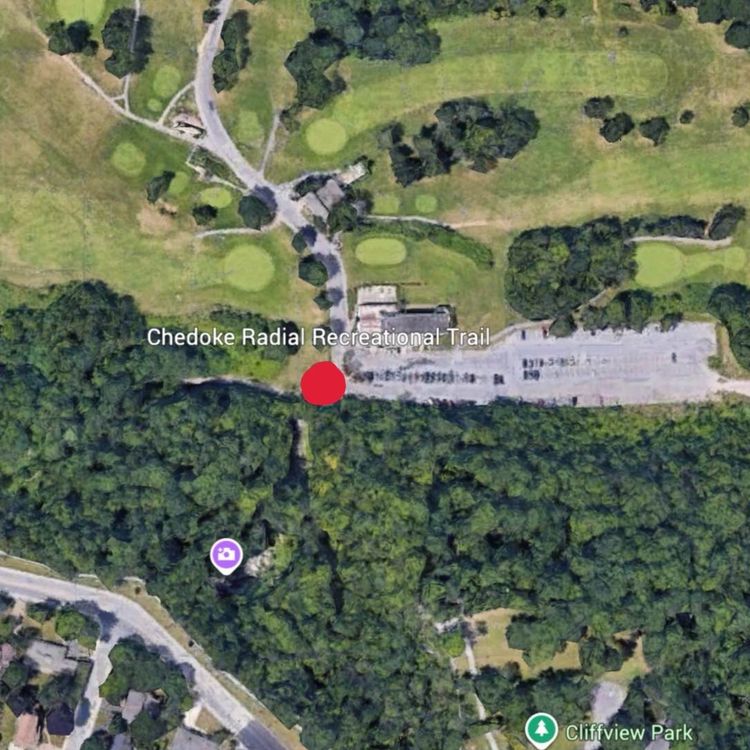 cover art for A neighborhood leaves clues