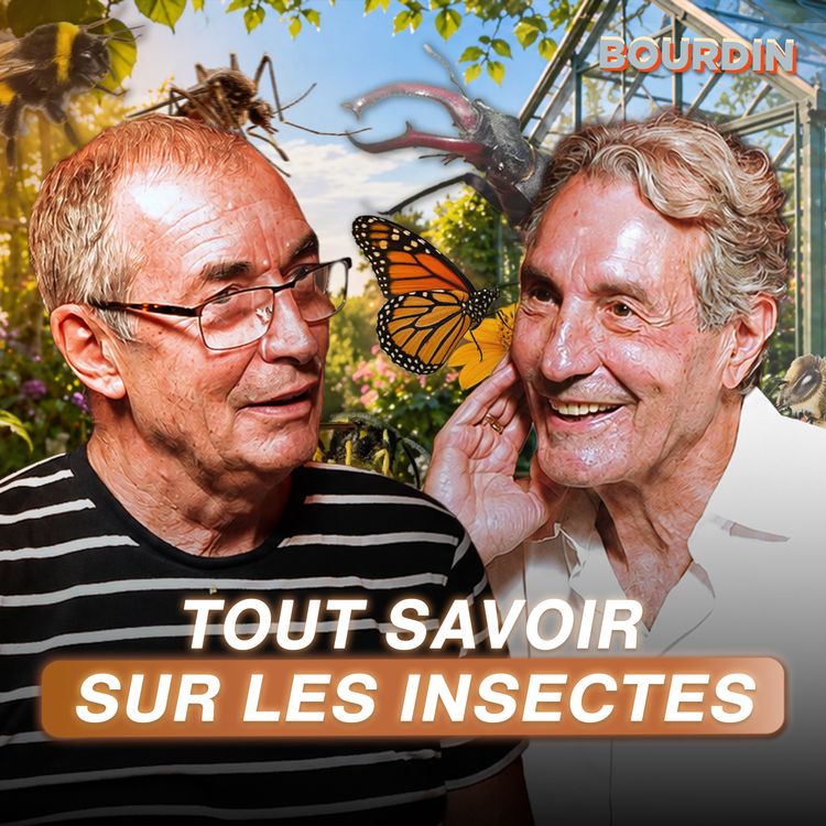 cover art for Moustiques, abeilles, frelons : les insectes sont-ils nos ennemis ou sauvent-ils notre planète ?