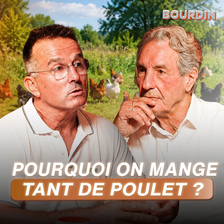 cover art for Comment éviter les poulets remplis d'eau ? Cet éleveur me raconte la "guerre" du poulet