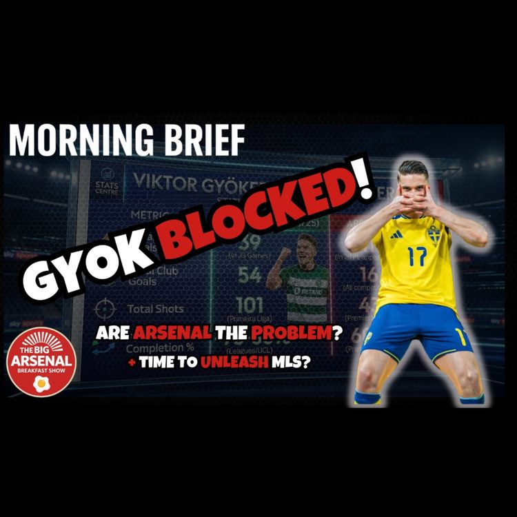 cover art for GYOK BLOCKED! Is the system broken?! 🚨