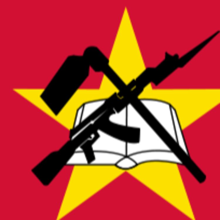 cover art for Vilka länder har skjutvapen i sina flaggor?