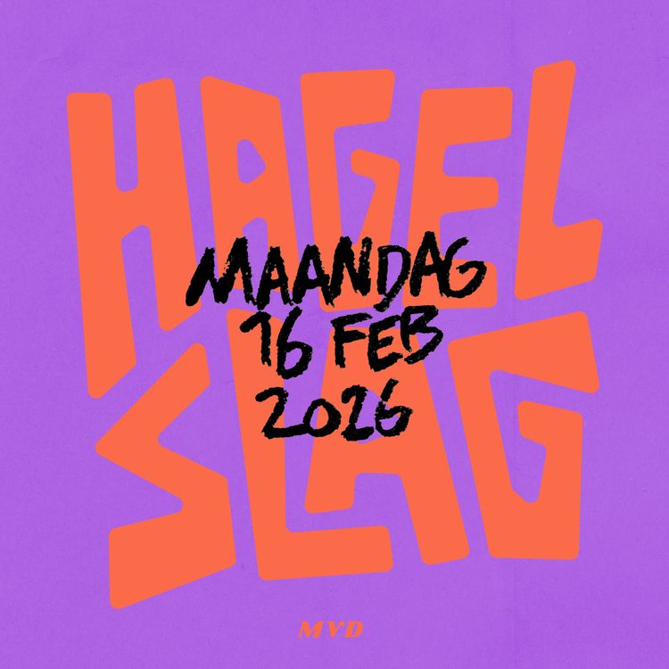 cover art for Bruce Springsteen is dodelijk saai