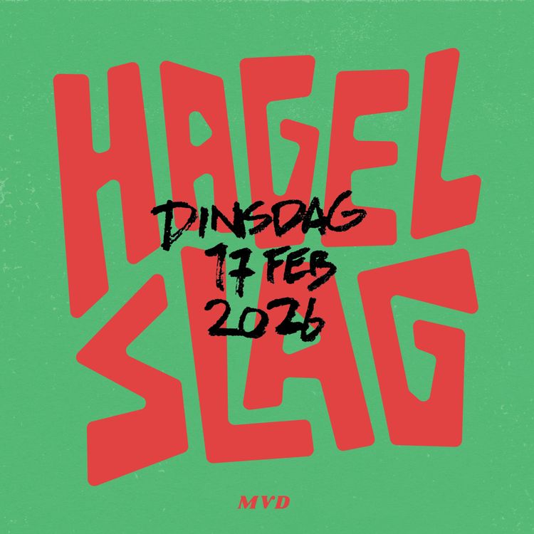 cover art for Laat Femke Kok met rust