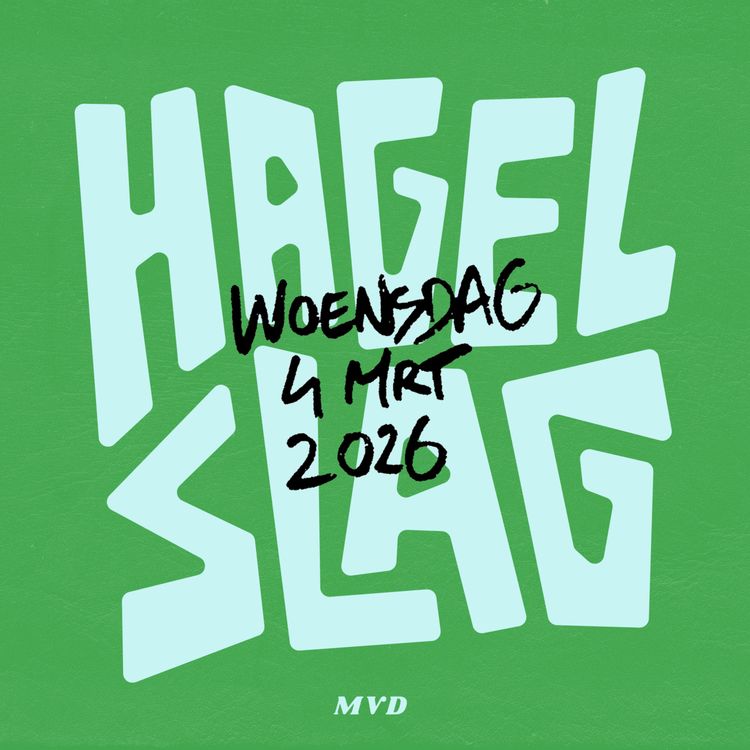 cover art for Het lieveheersbeestje slaapt nog