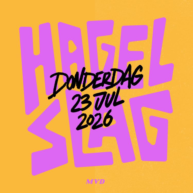 cover art for Domien at McFlurry en cheeseburger langs de snelweg
