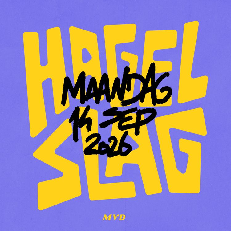 cover art for De wereld is een toverbal