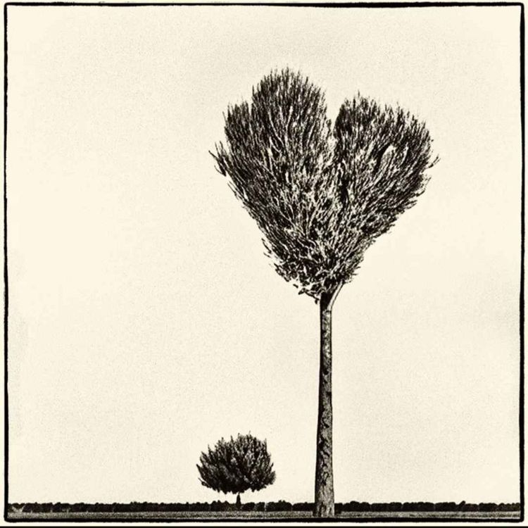 cover art for Témoignage de Camille qui rentre en PMA