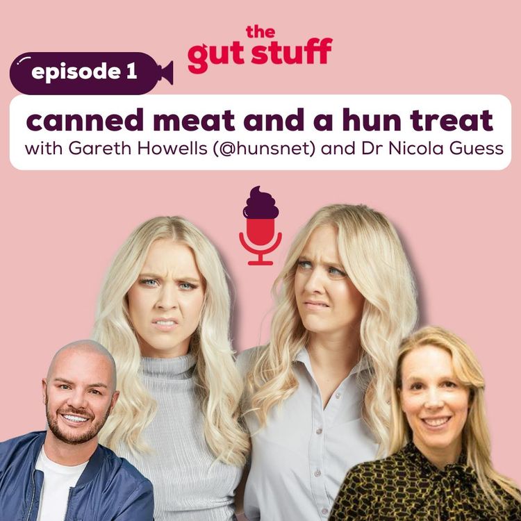 cover art for Canned Meat and A Hun Treat... with Gareth Howells (aka Hunsnet) and Dr Nicola Guess