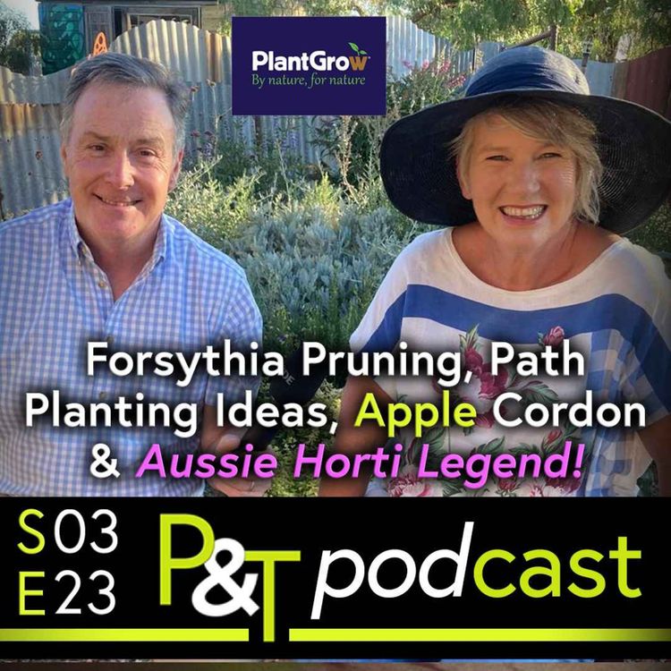 cover art for Forsythia Pruning, Path Planting Q, Apple Cordon Q & Aussie Horti Legend Sophie Thompson Joins Us!