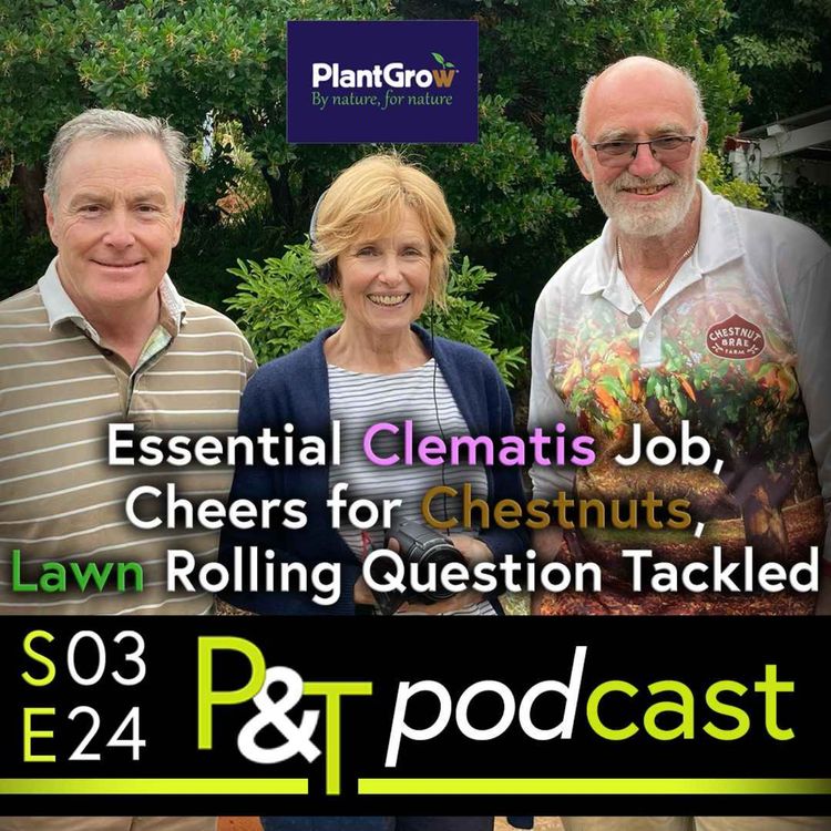 cover art for Essential Clematis Job, Cheers for Chestnuts, Lawn Rolling Question & Australian Adventure Continues!