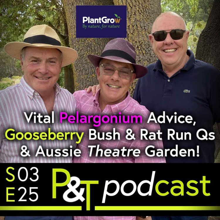 cover art for Vital Pelargonium Advice, Gooseberry Bush & Rat Run Questions Answered plus an Aussie Theatre Garden