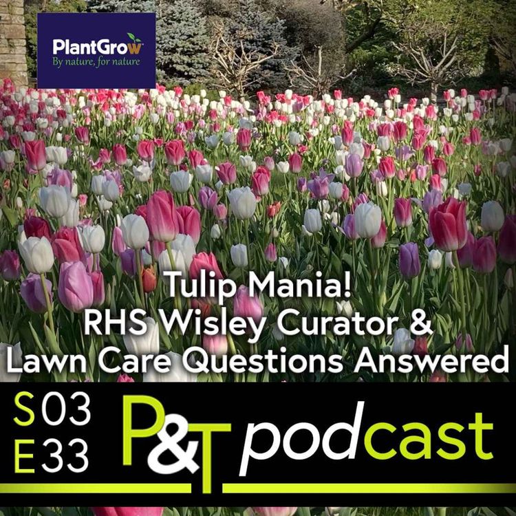 cover art for Tulip Mania, RHS Wisley Curator & Lawn Care Questions Answered