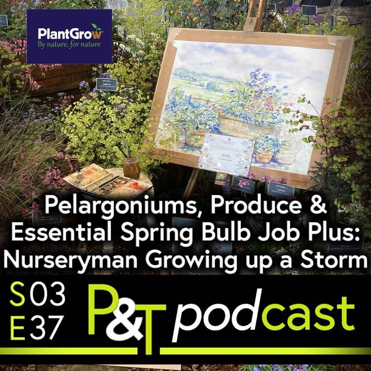 cover art for Essential Spring Bulb Job, Pelargoniums, Produce and the Young Nurseryman who is Growing up a Storm!