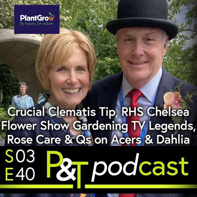 cover art for Crucial Clematis Tip, RHS Chelsea Flower Show Gardening TV Legends, Rose Care & Questions on Acers & Dahlia 